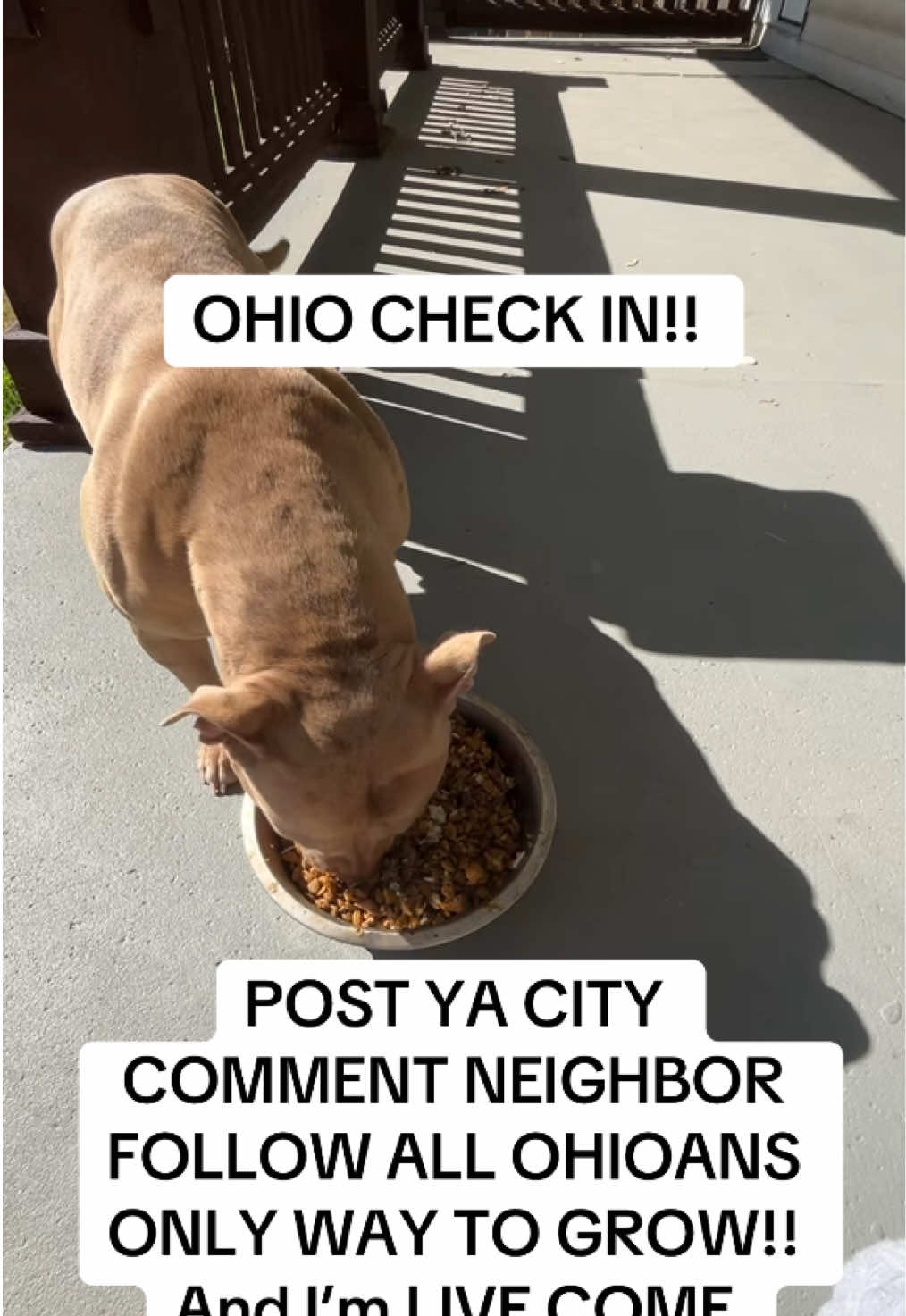 @jhfoetv