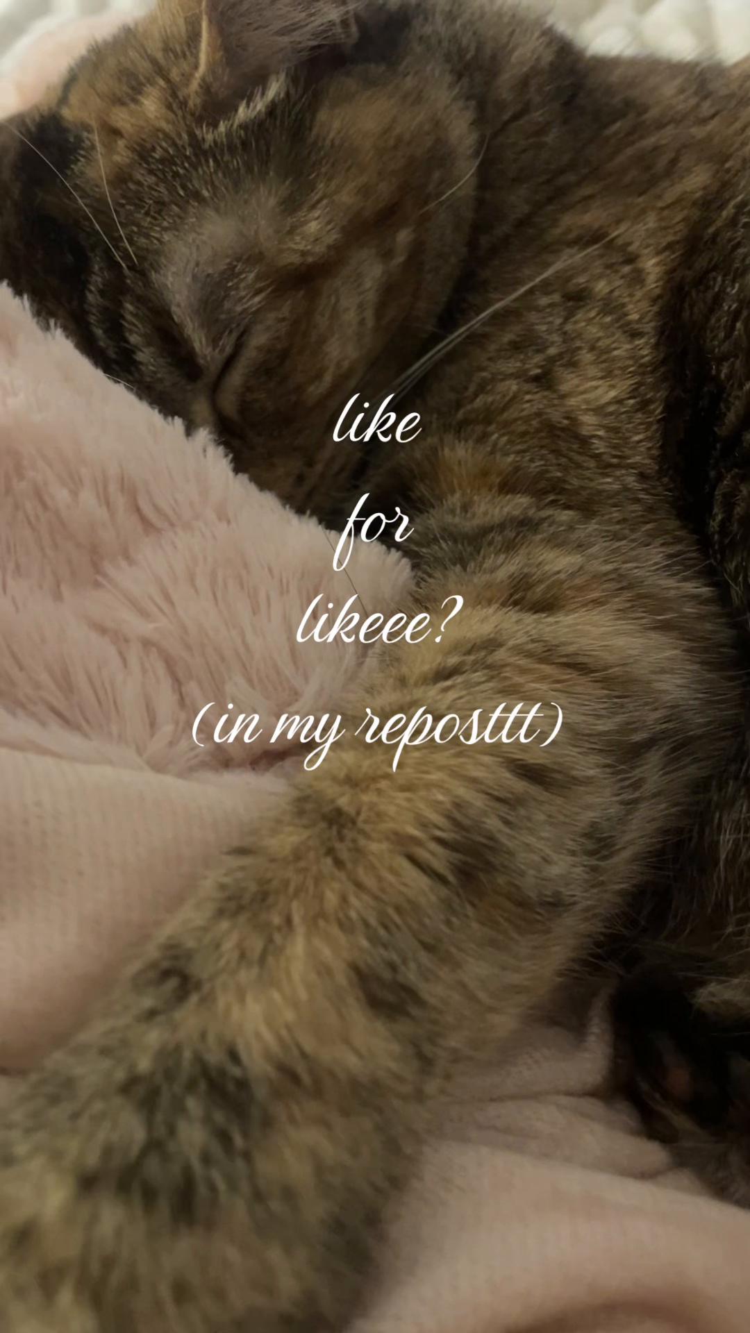 @pinksparkles