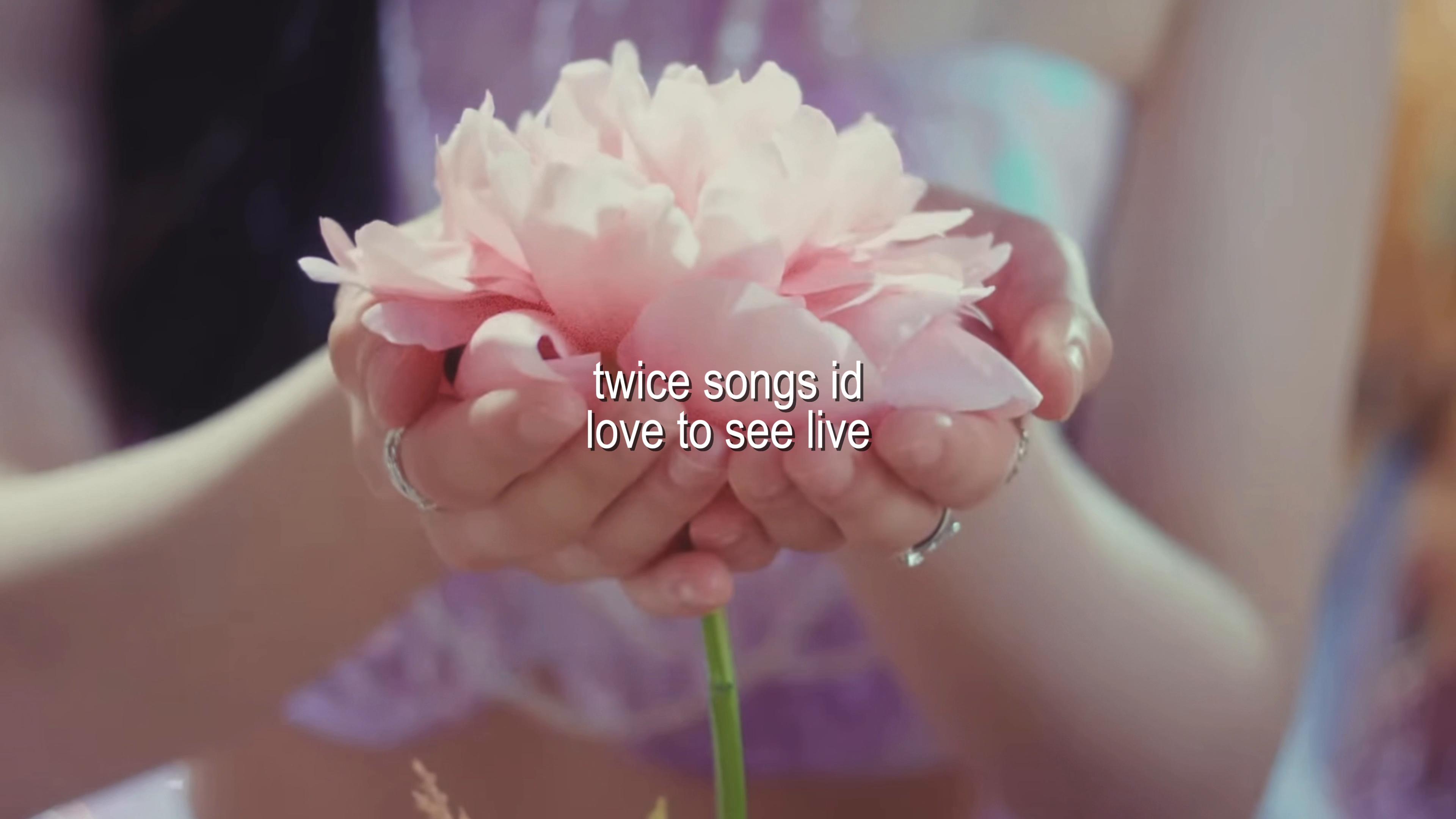 @˚⟡˖ ࣪