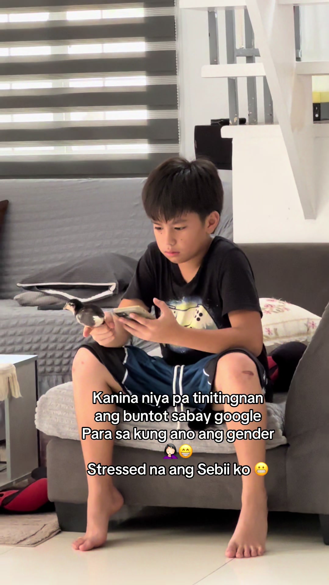@Mum Dar & Vsb Bros