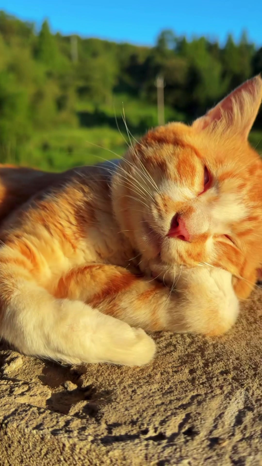 @My Daily Dose of Aww