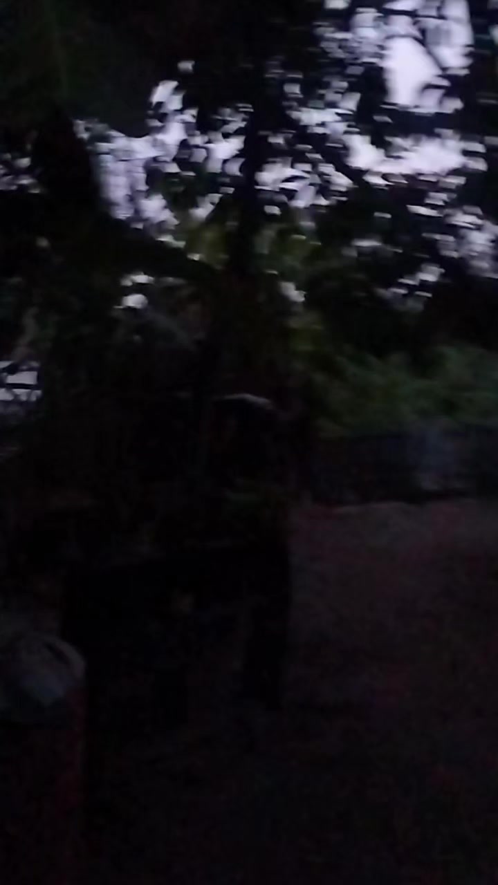 @DAVIOSI