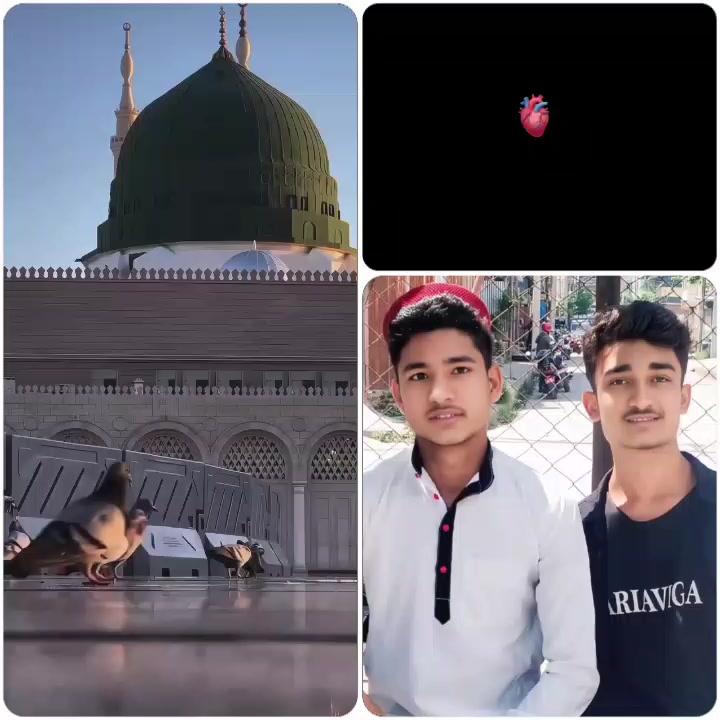 @ð©·Armanâ€ïžð©¹ Aliâ€ïžð©¹ðïžâ€ïžð©¹