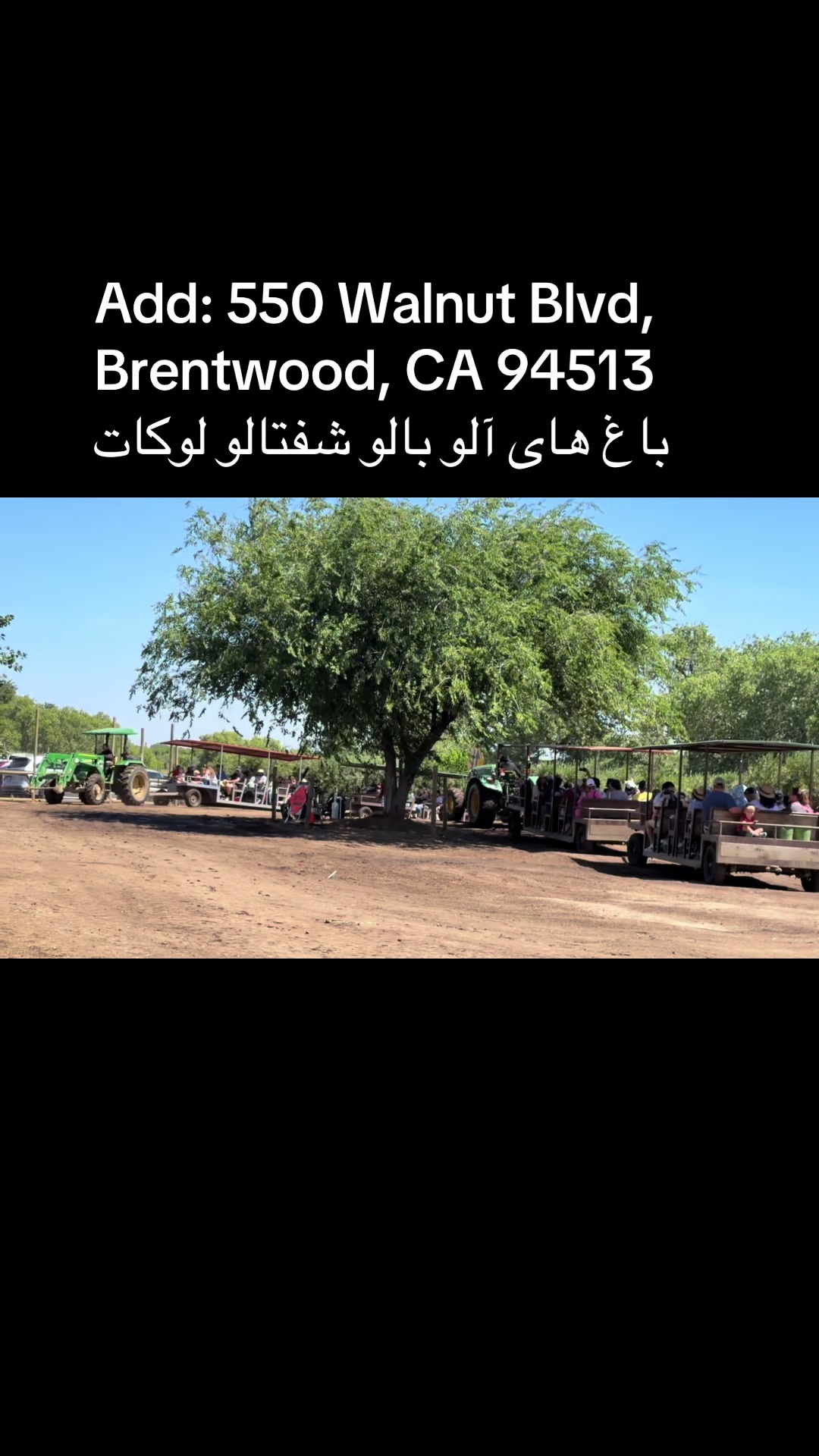 @Jafar Wahidi