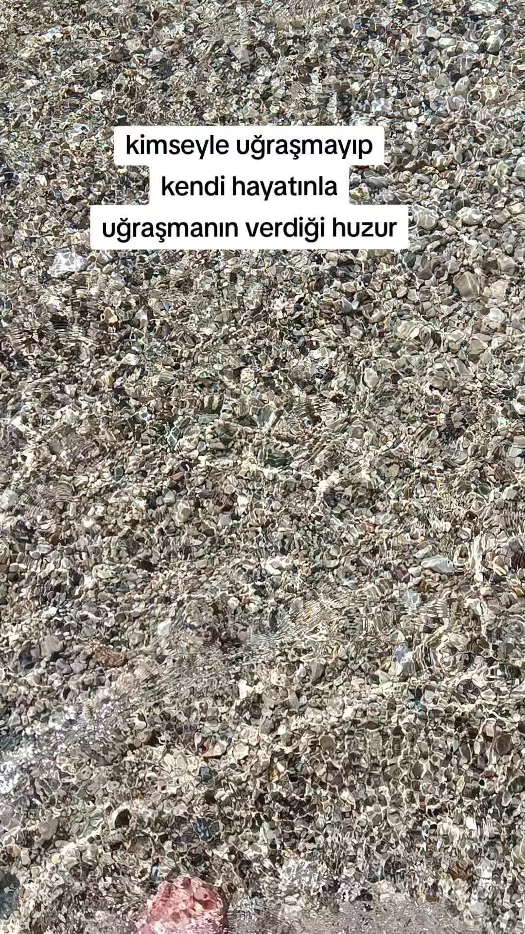 @aslsungur4