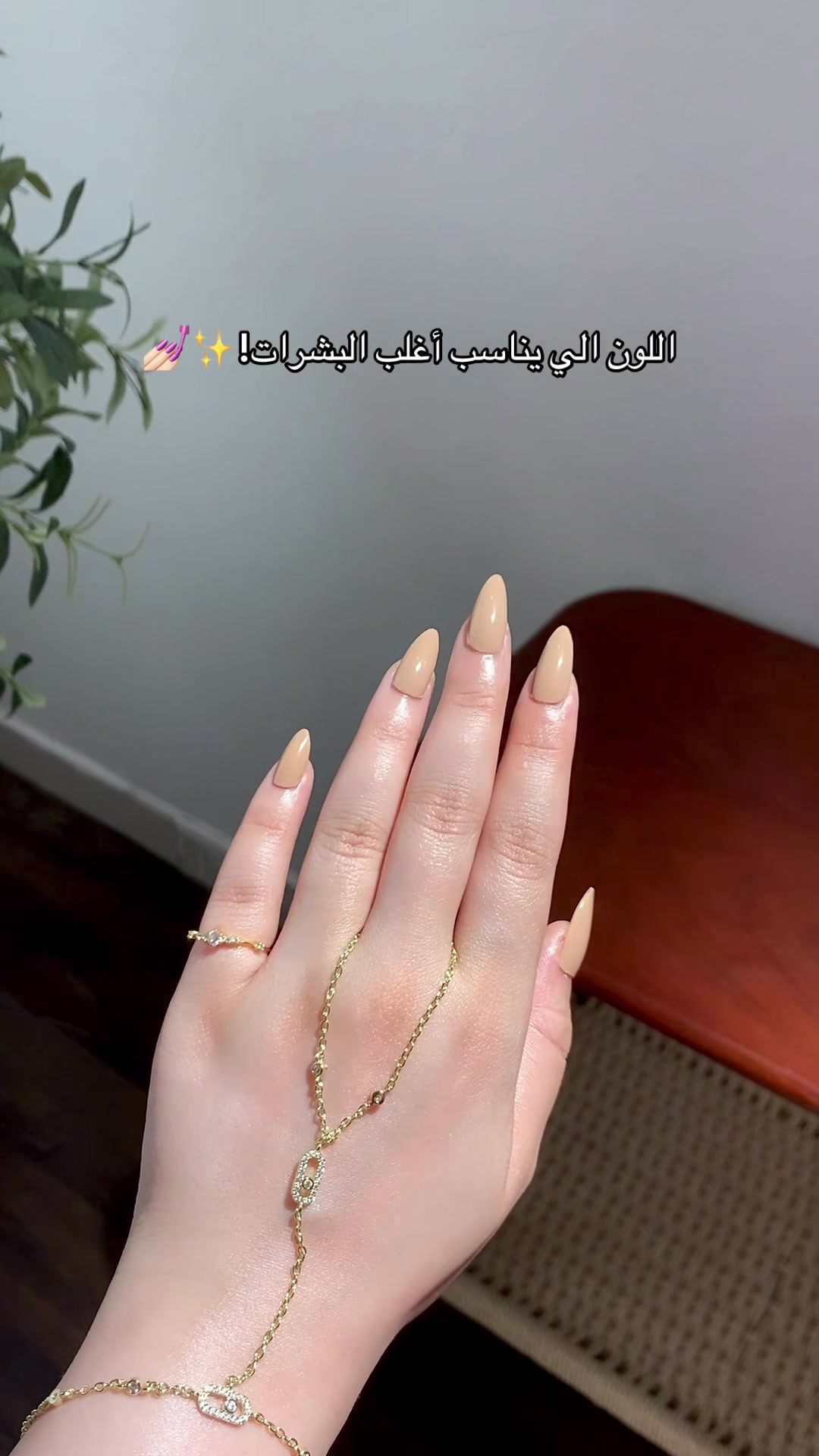 @اندلين بيوتي✨
