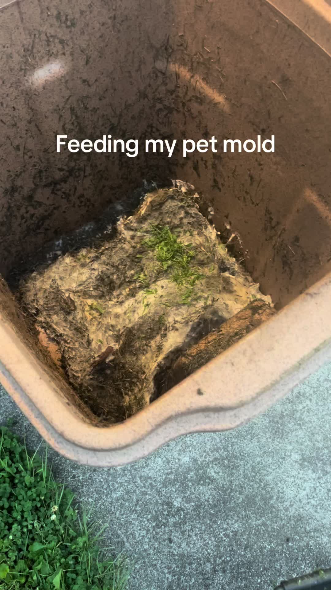 @Crab_Viohelper🙏🥹