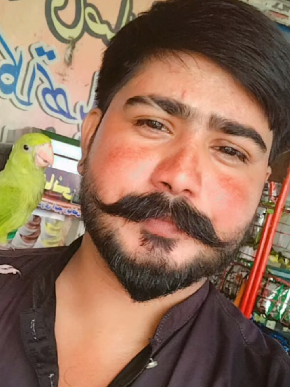 @ᴍʀܔGhouri ▄︻̷̿┻̿═━一