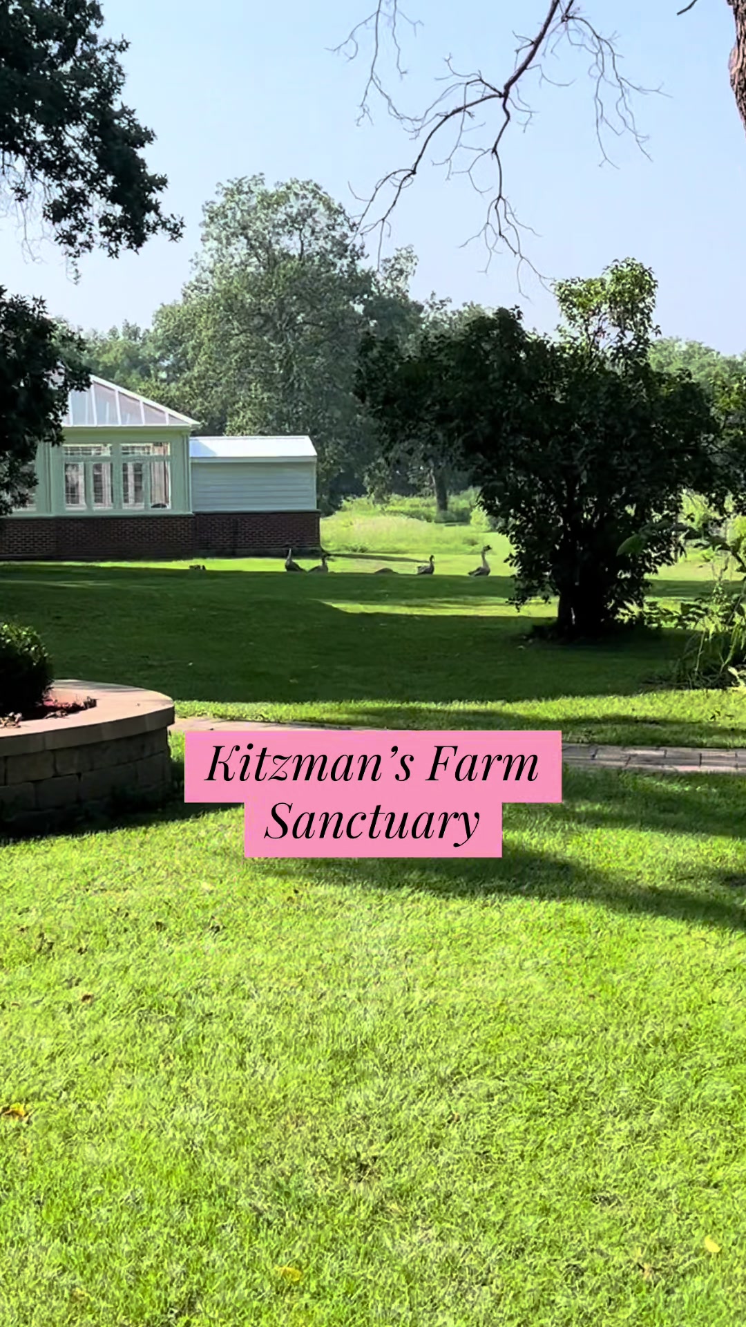 @Kitzman’s Farm Sanctuary