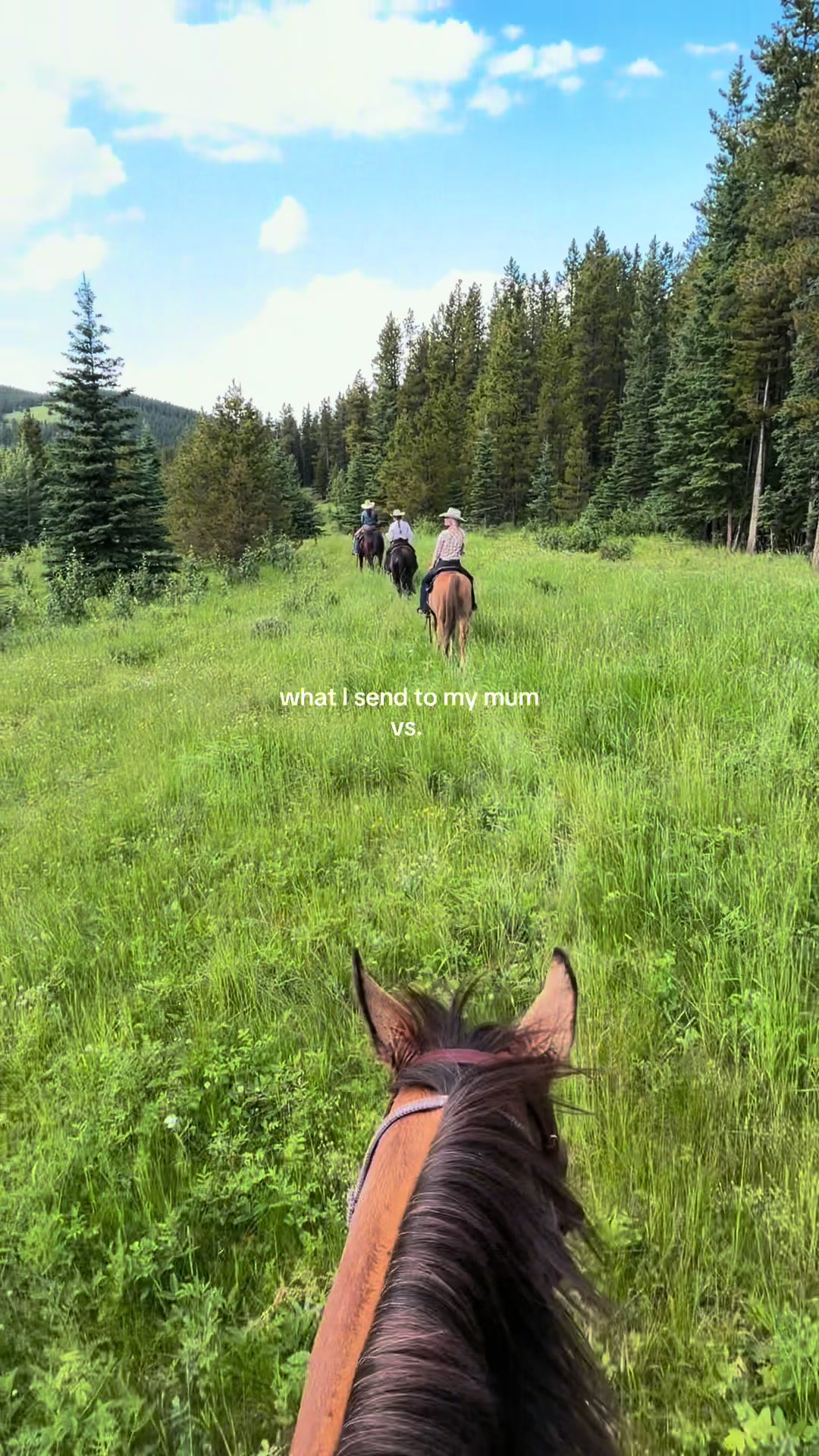 @Ranch Riders