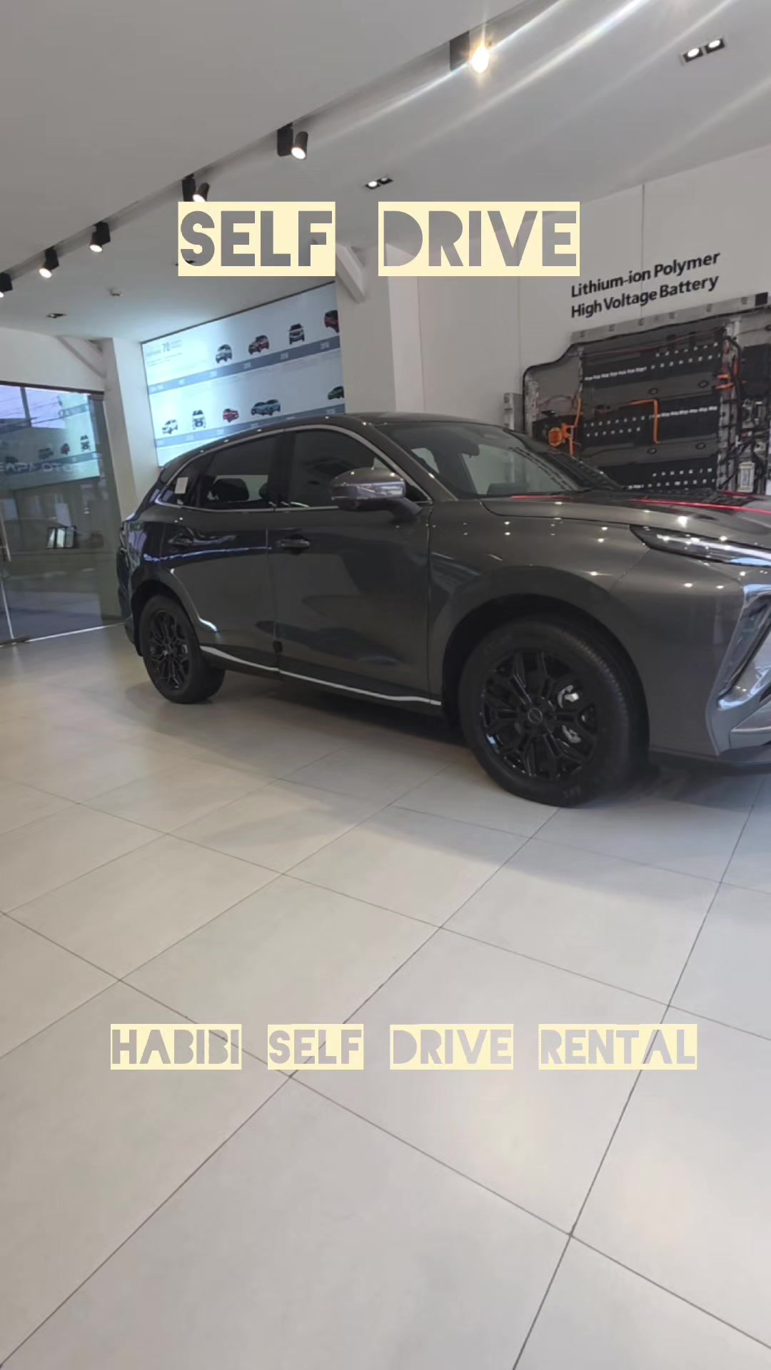 @Habibi self drive rental car