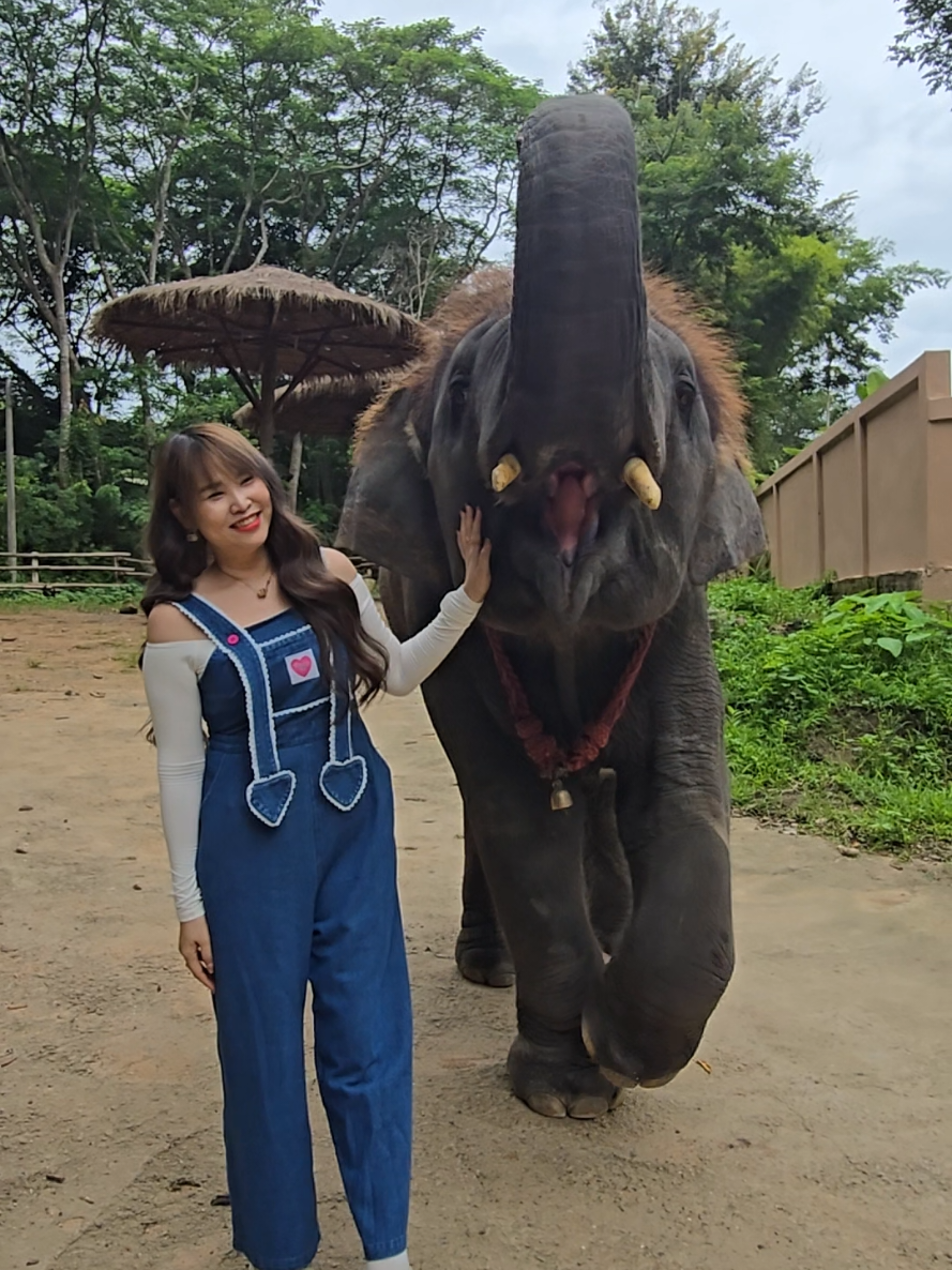 @ควาญแดง พลายภูพิงค์
