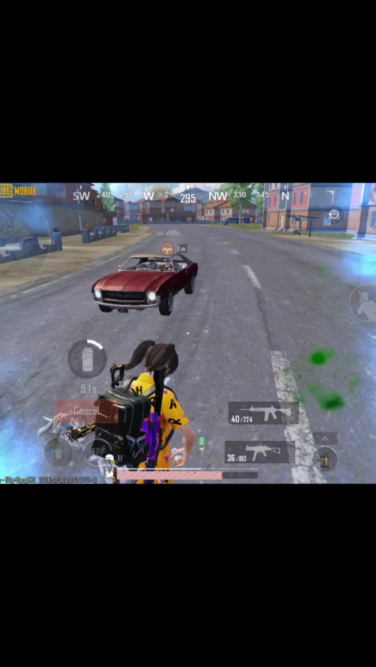 @BabyRaccoon