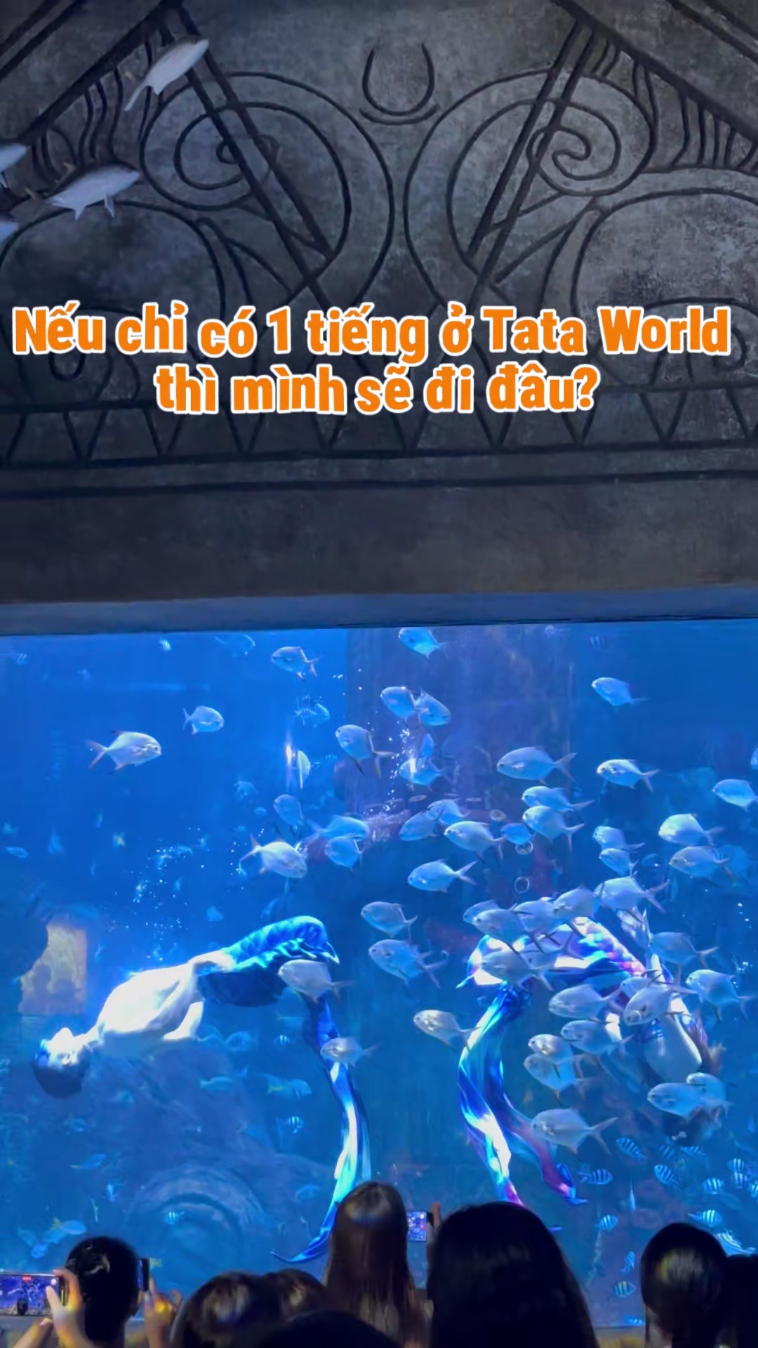 @Quốc Vương Nha Trang