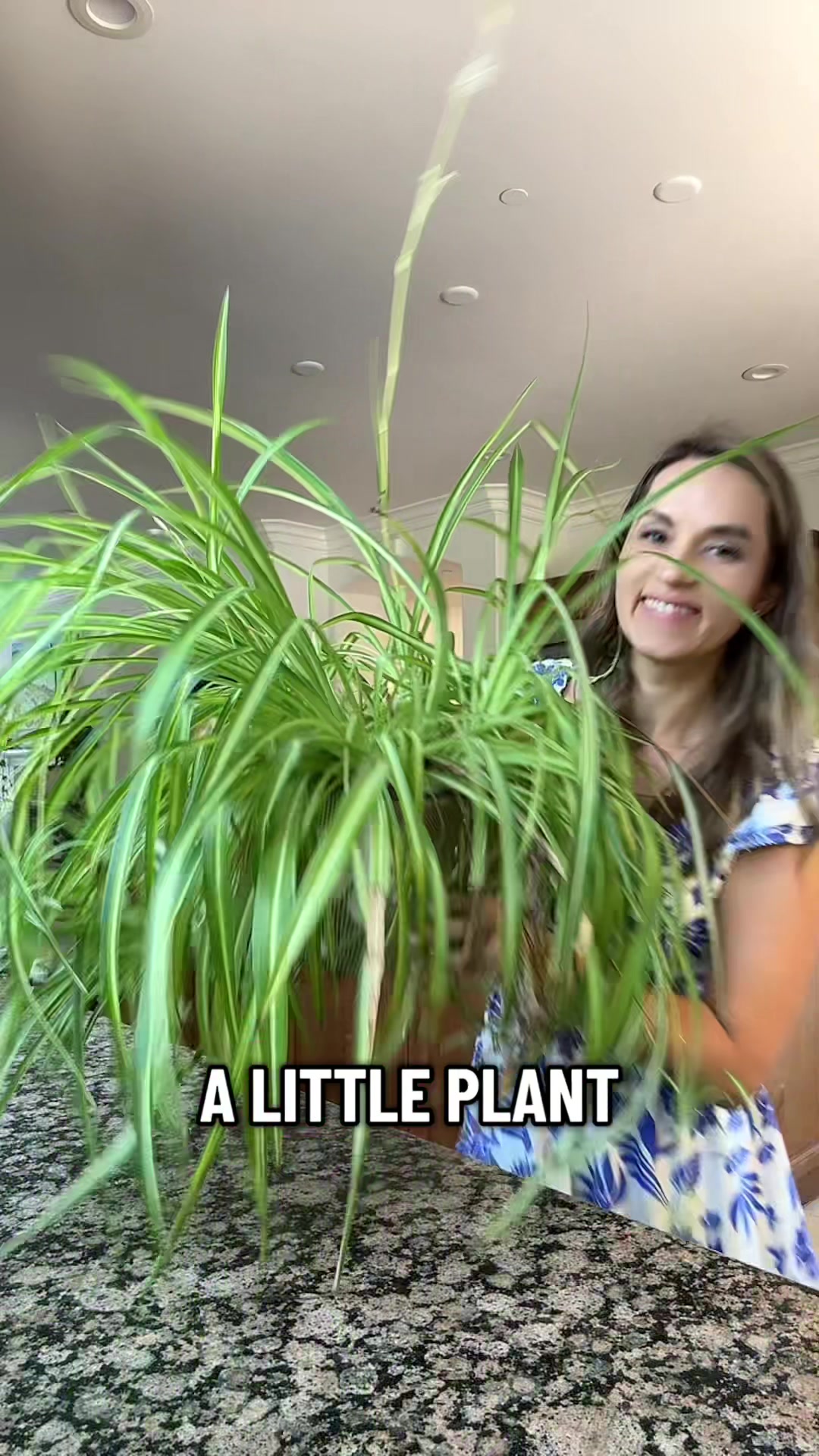 @SparkDazzle