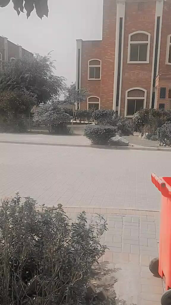 @♥️ چوہدری منور عباس مٹمل 🌹