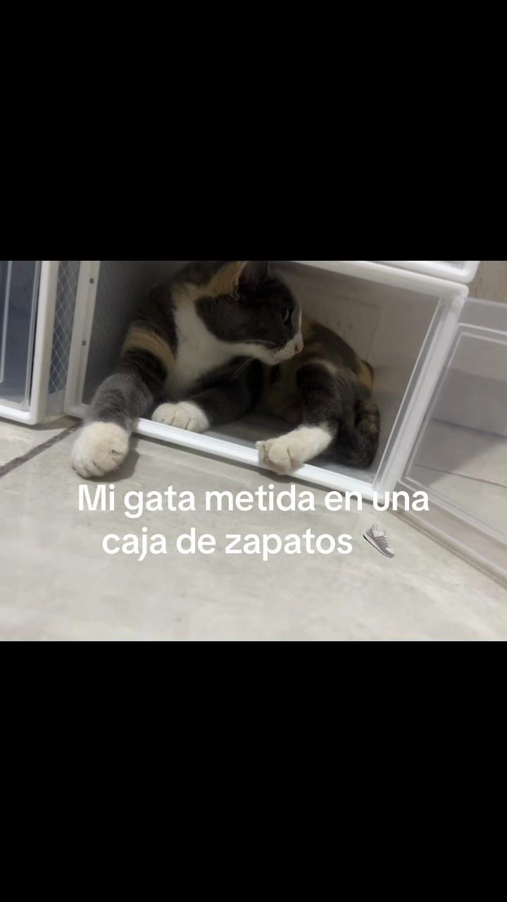 @Rutinas ❤️❤️