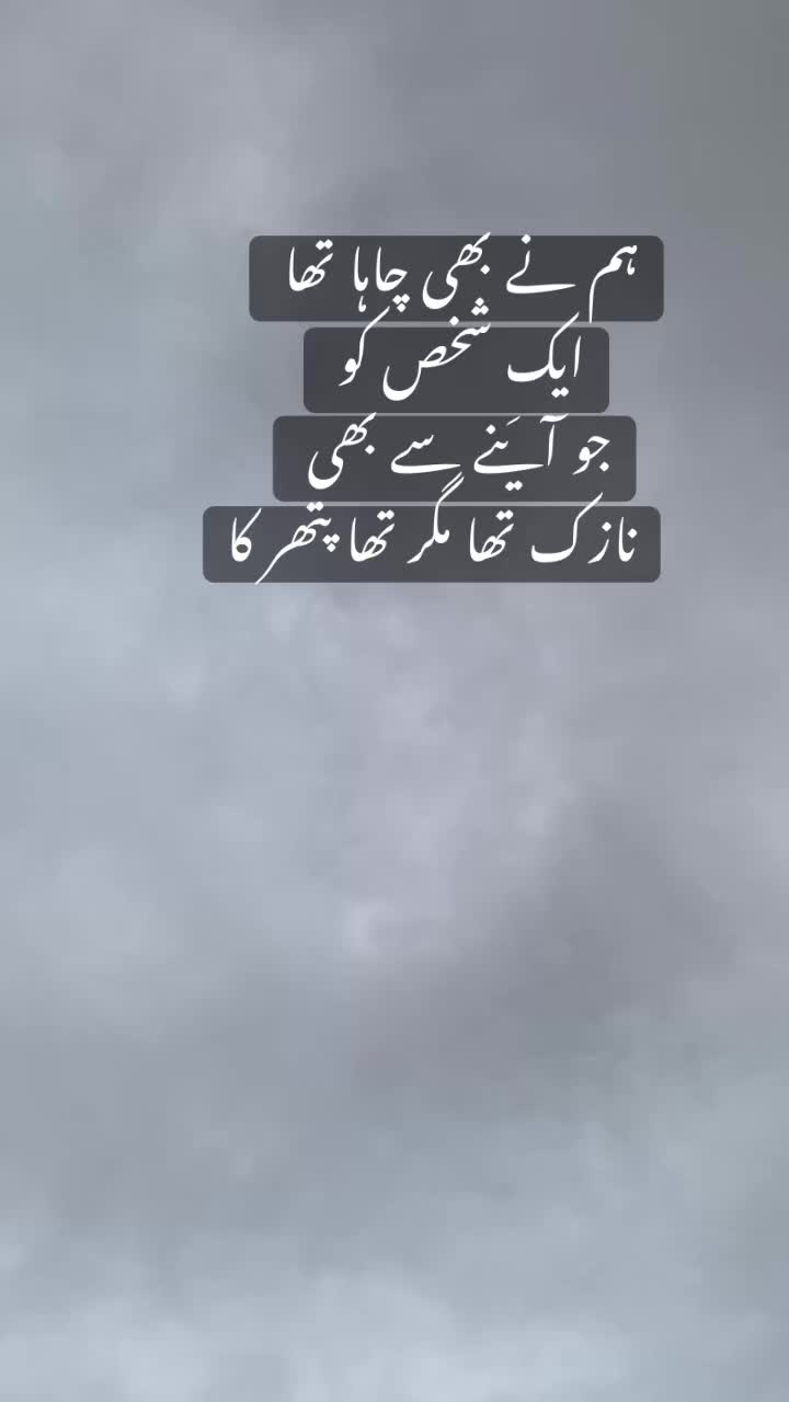 @🕊️