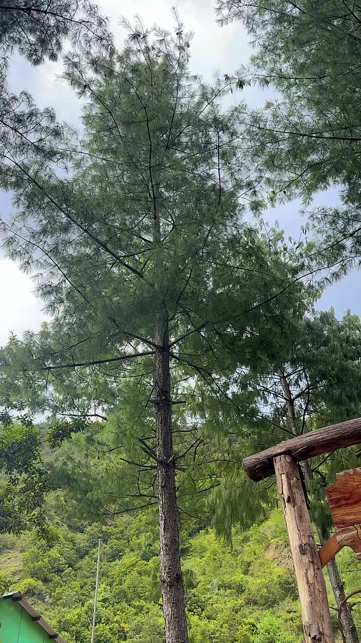 @Sanu lama
