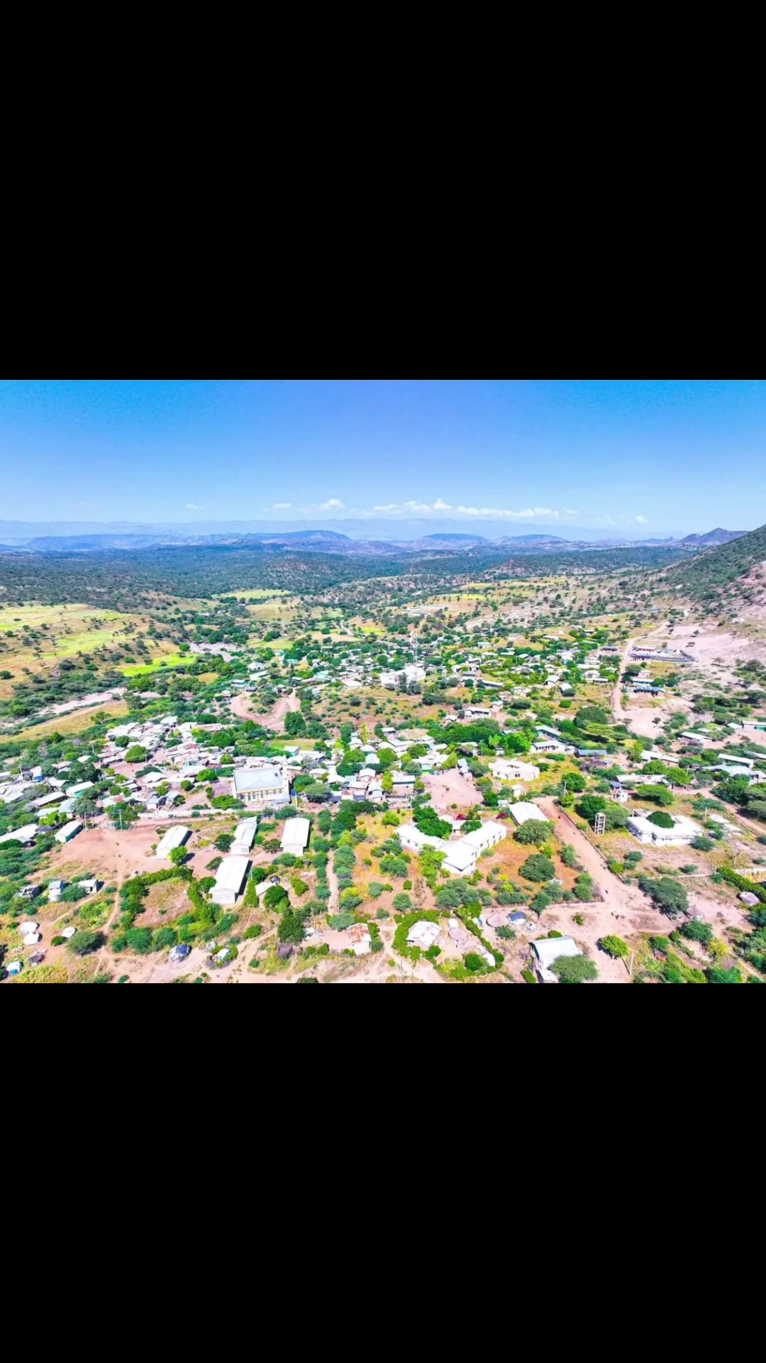 @zedwa