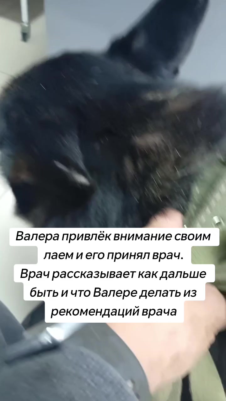 @Передержка «Лёнин рай» 🐶🦮