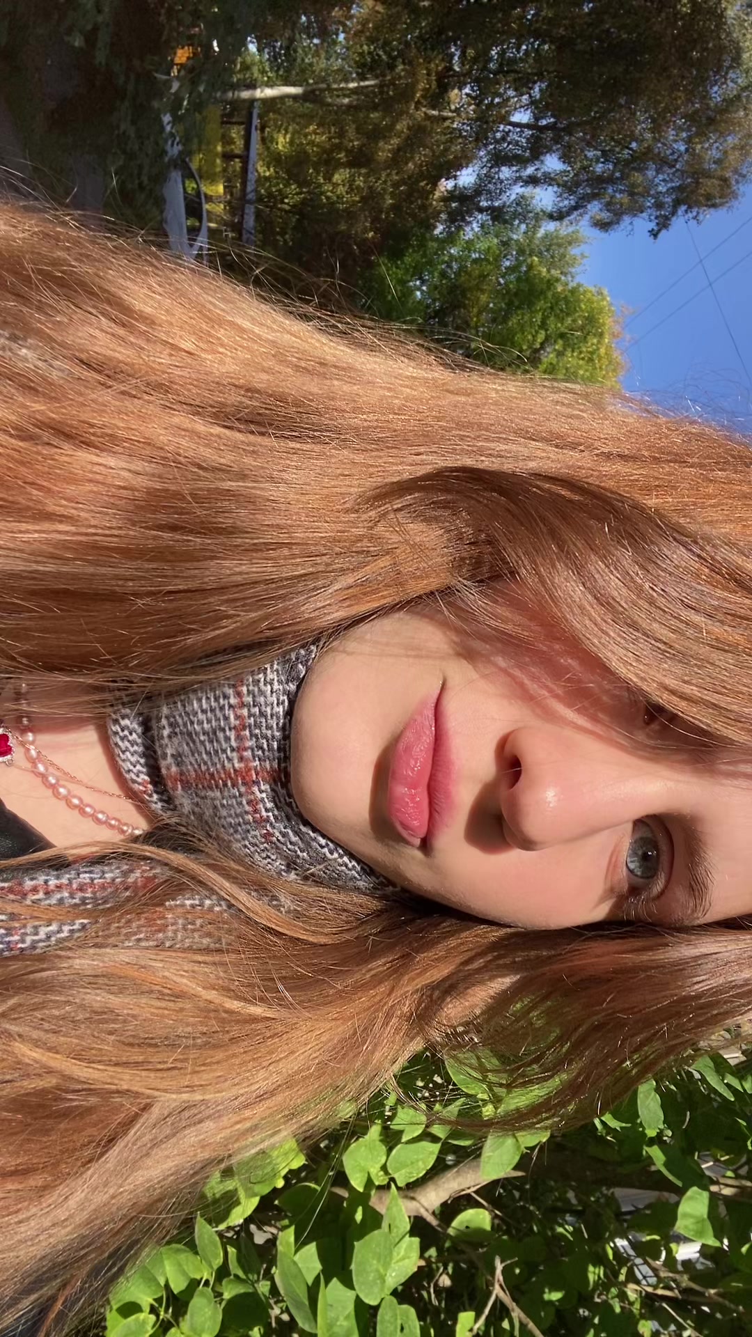 @angeli