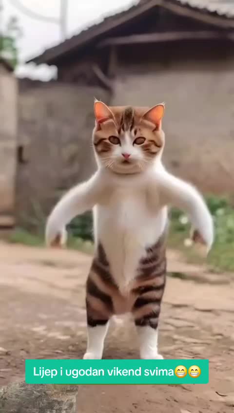 @𝑫𝒖𝒔𝒂 𝒐𝒅 𝒄̌𝒐𝒗𝒆𝒌𝒂🎹