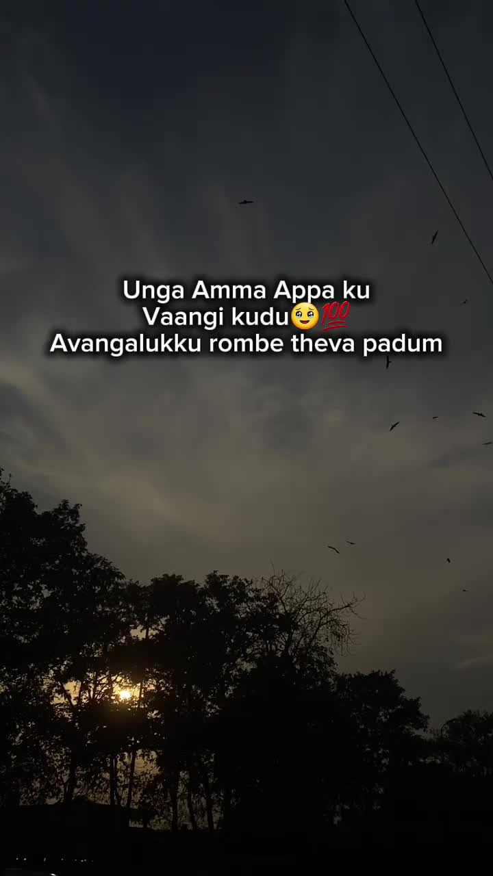 @dvaashop