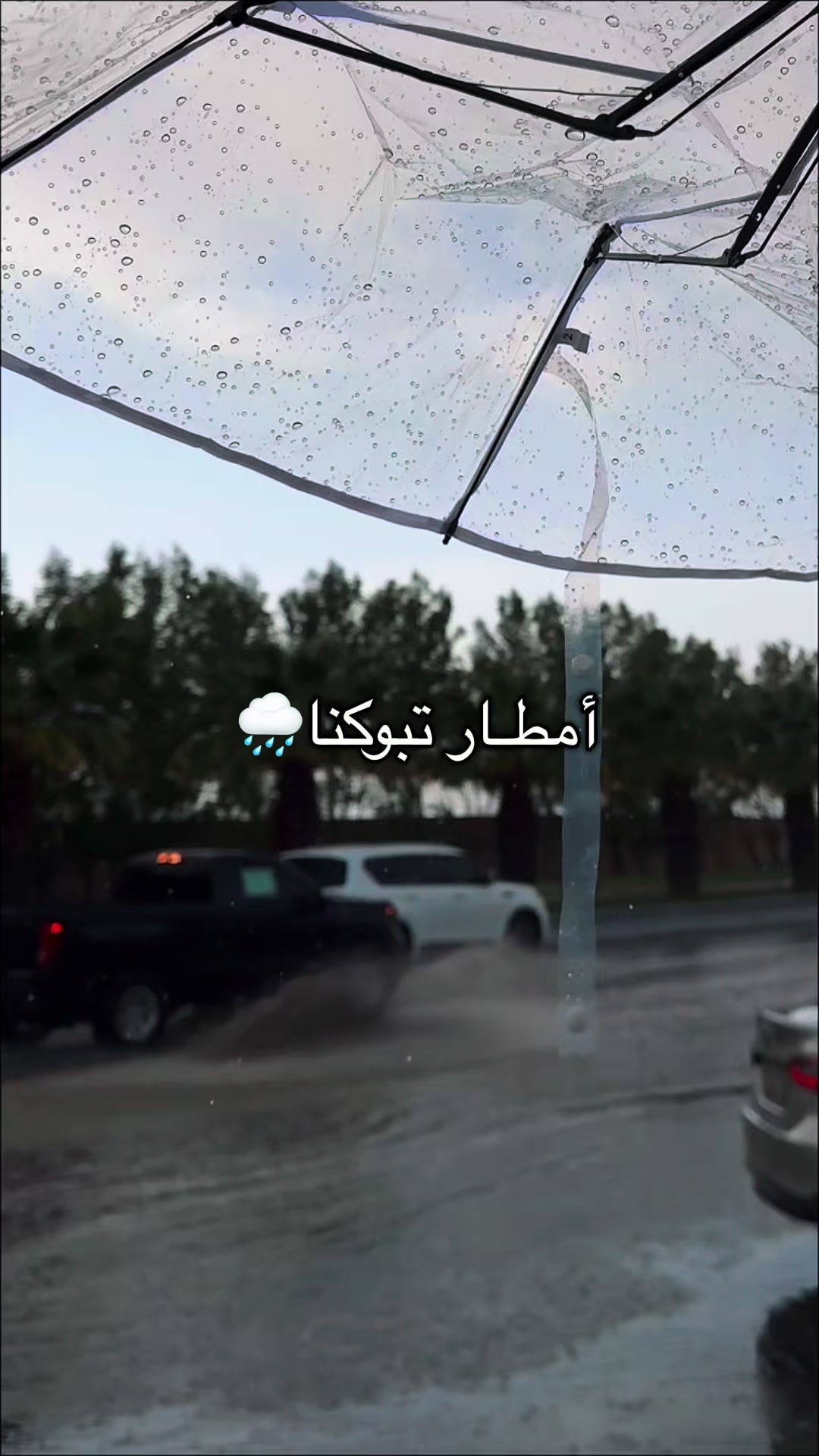 @مصورة تبوك/إدارة حسابات