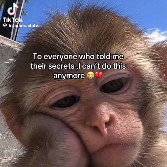 @Fuze🇿🇦