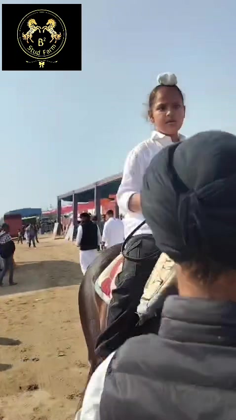 @B&sup2; Stud Farm🇮🇳🐎🇨🇦
