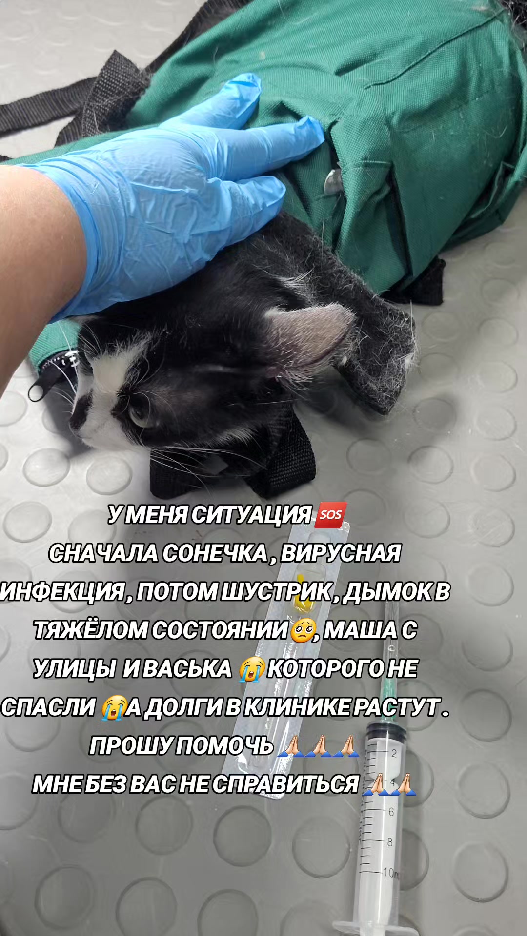@marinka20_09