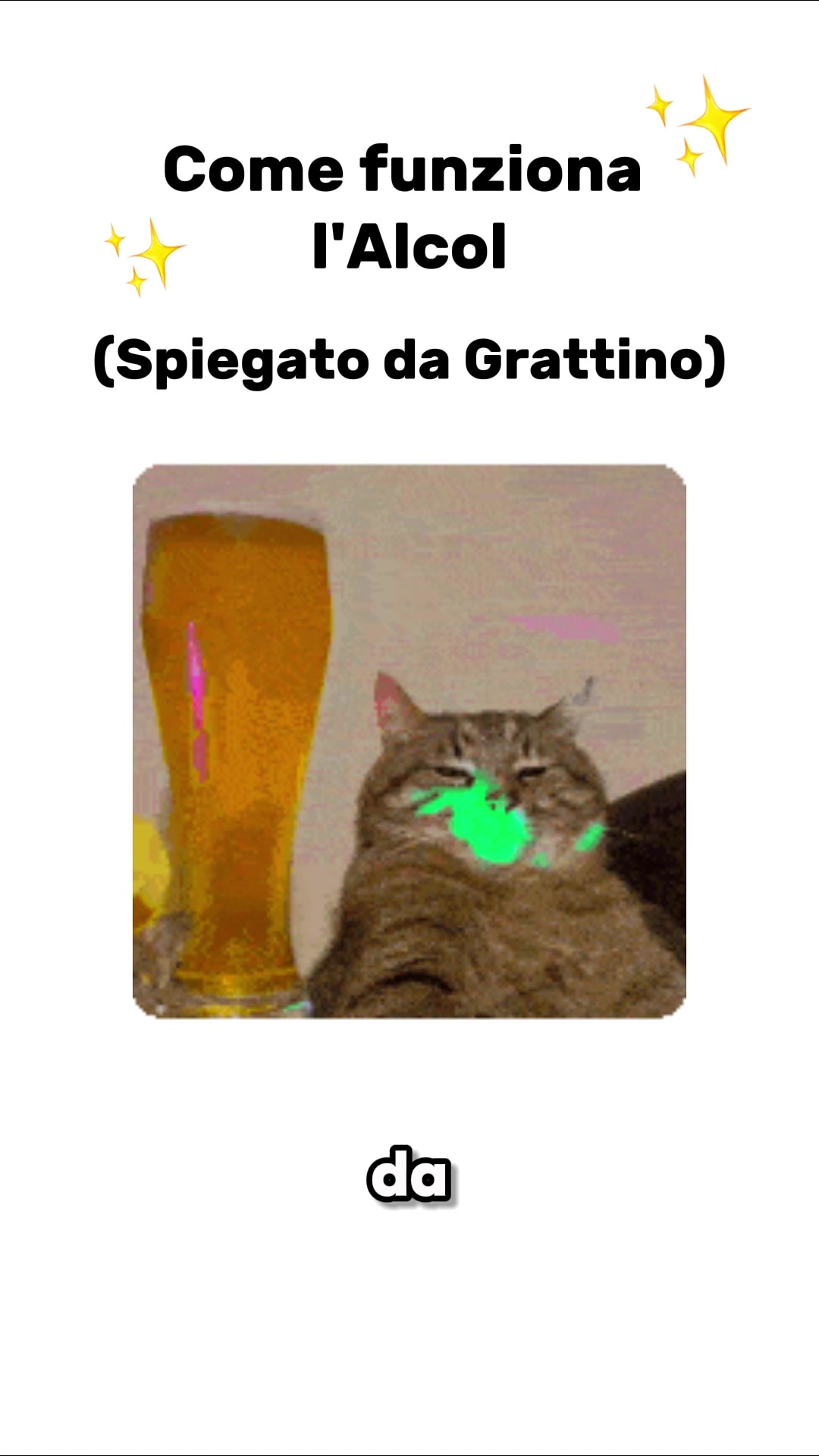 @Grattino😻