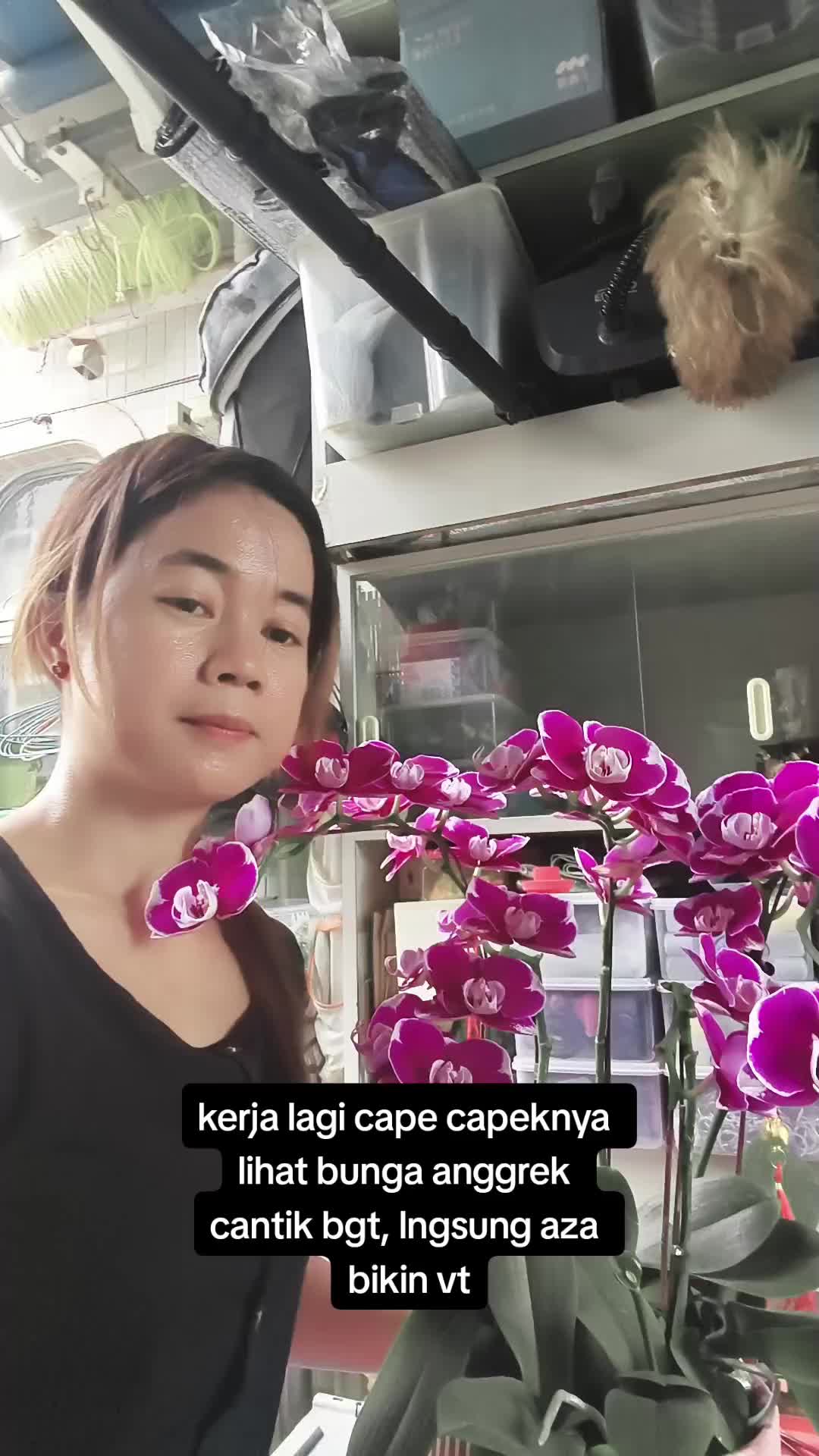 @🕊️🅰️Lℹ️e 🕊️🇭🇰 (HONG)