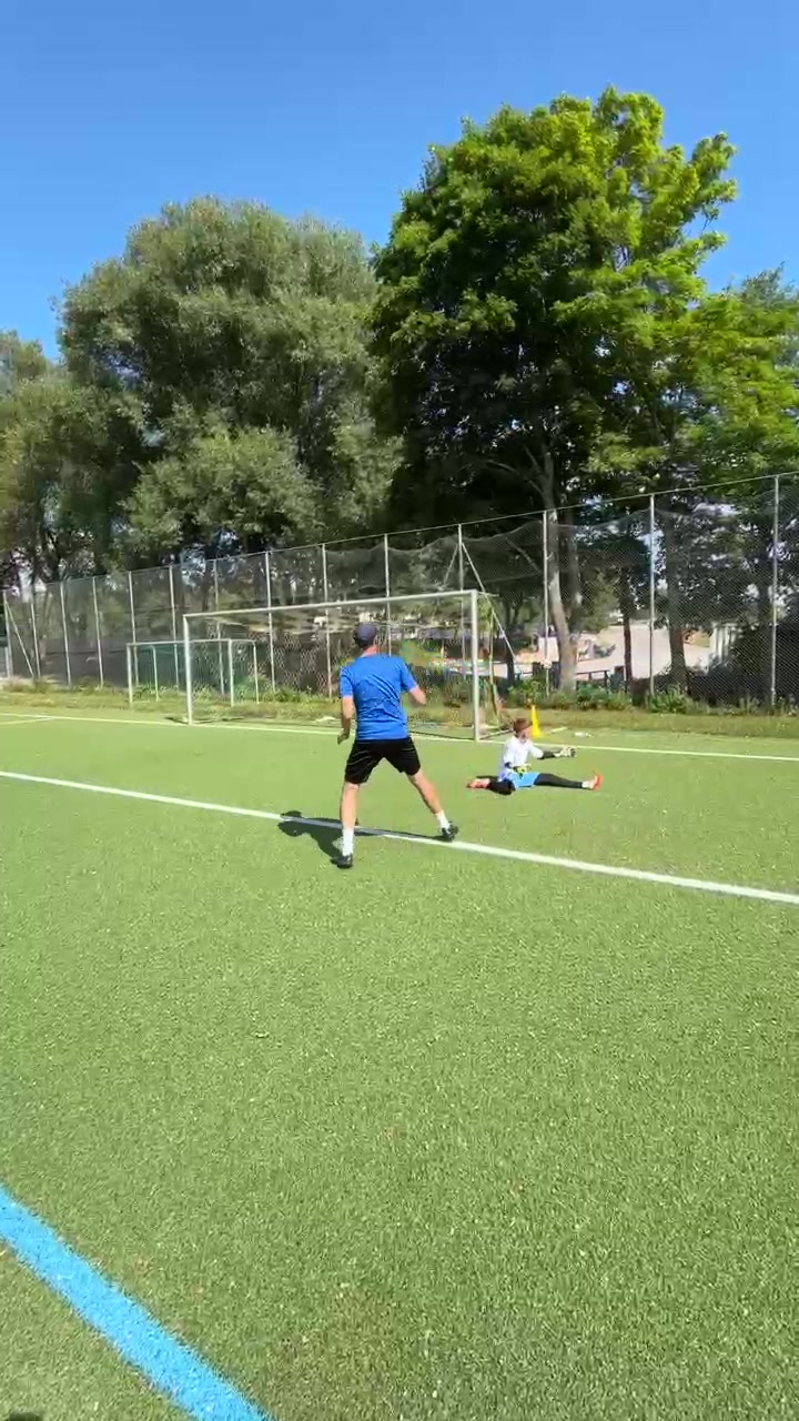 @Goalkeeping Development