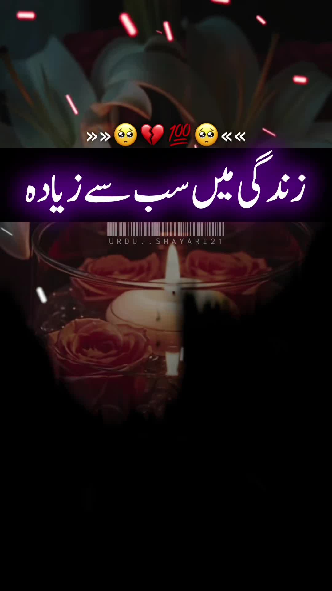 @urdu..shayari21