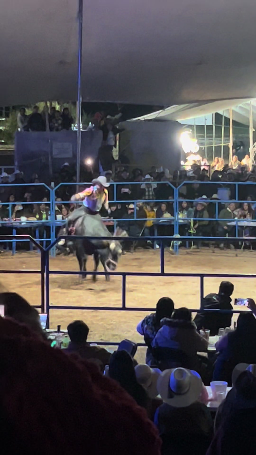 @Geral 🌸