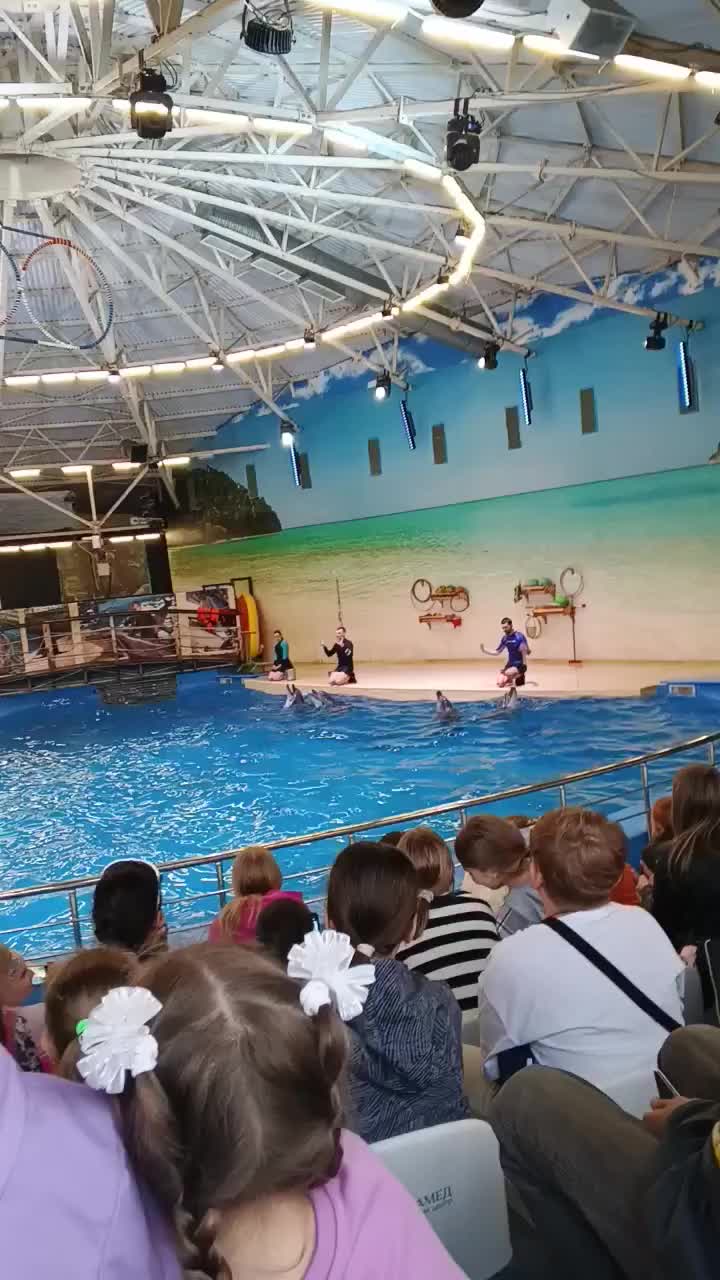 @Елена