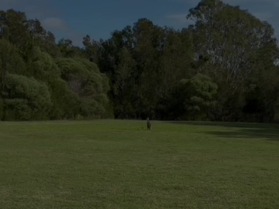 @Till