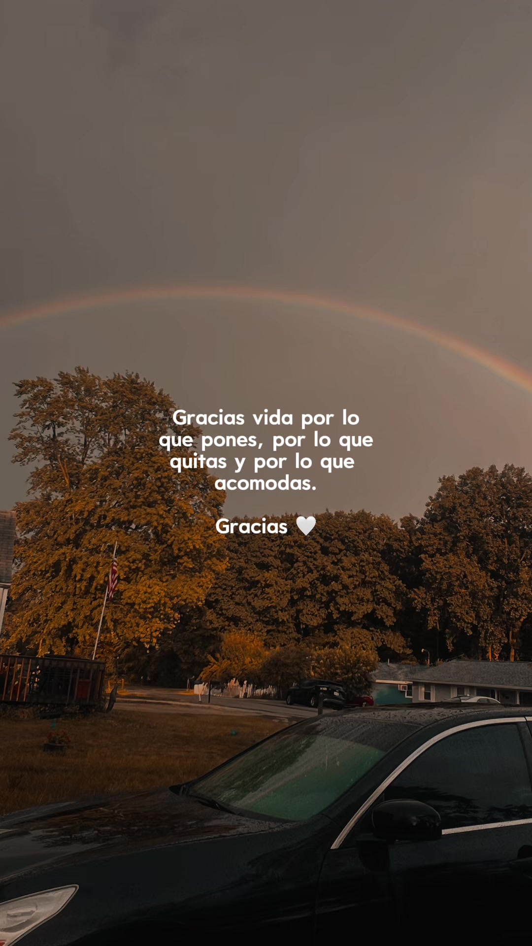 @aracelimora977