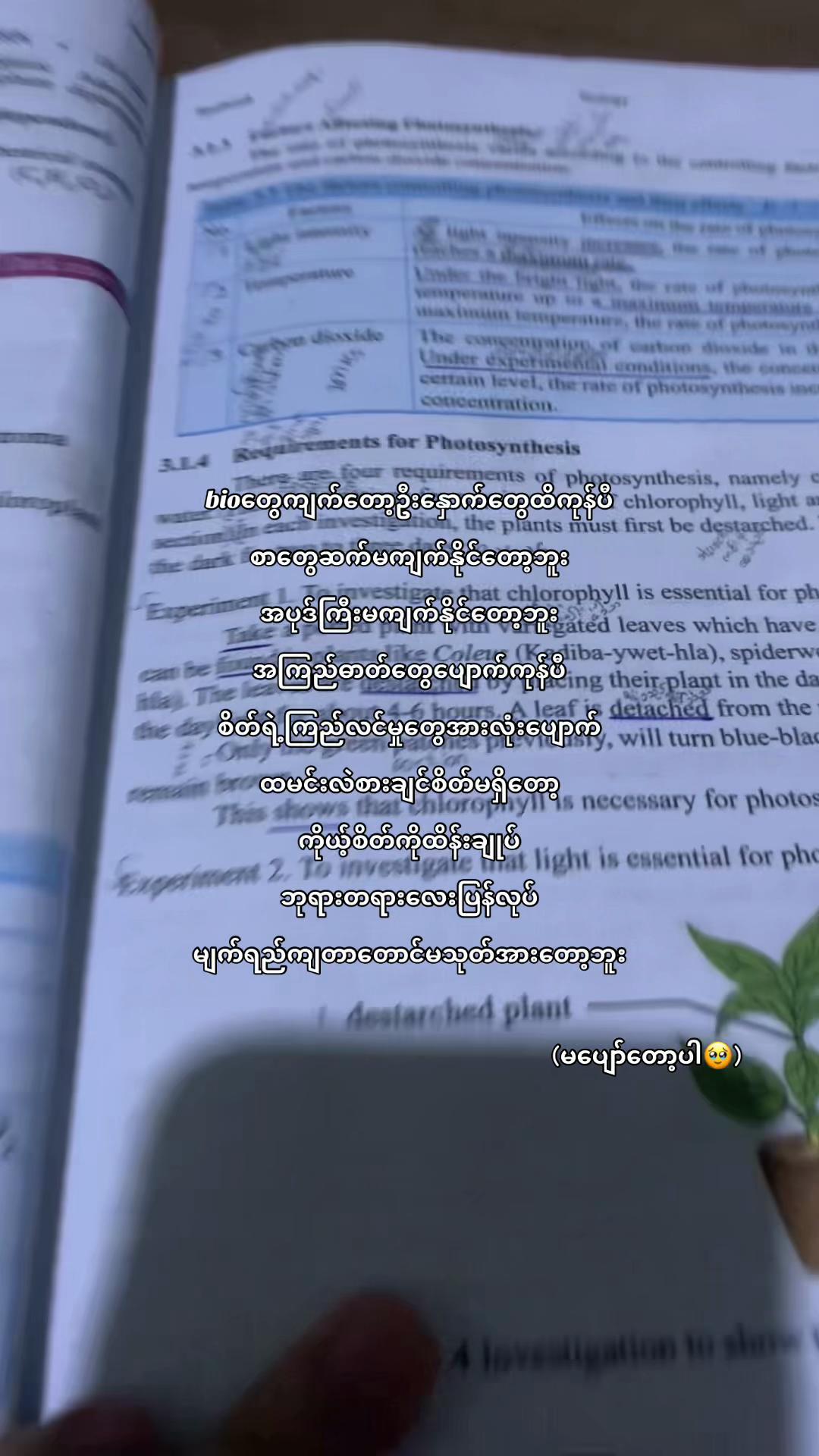 @ᴡɪʟʟᴏᴡ_ʙʀᴏᴏᴋʟʏɴ