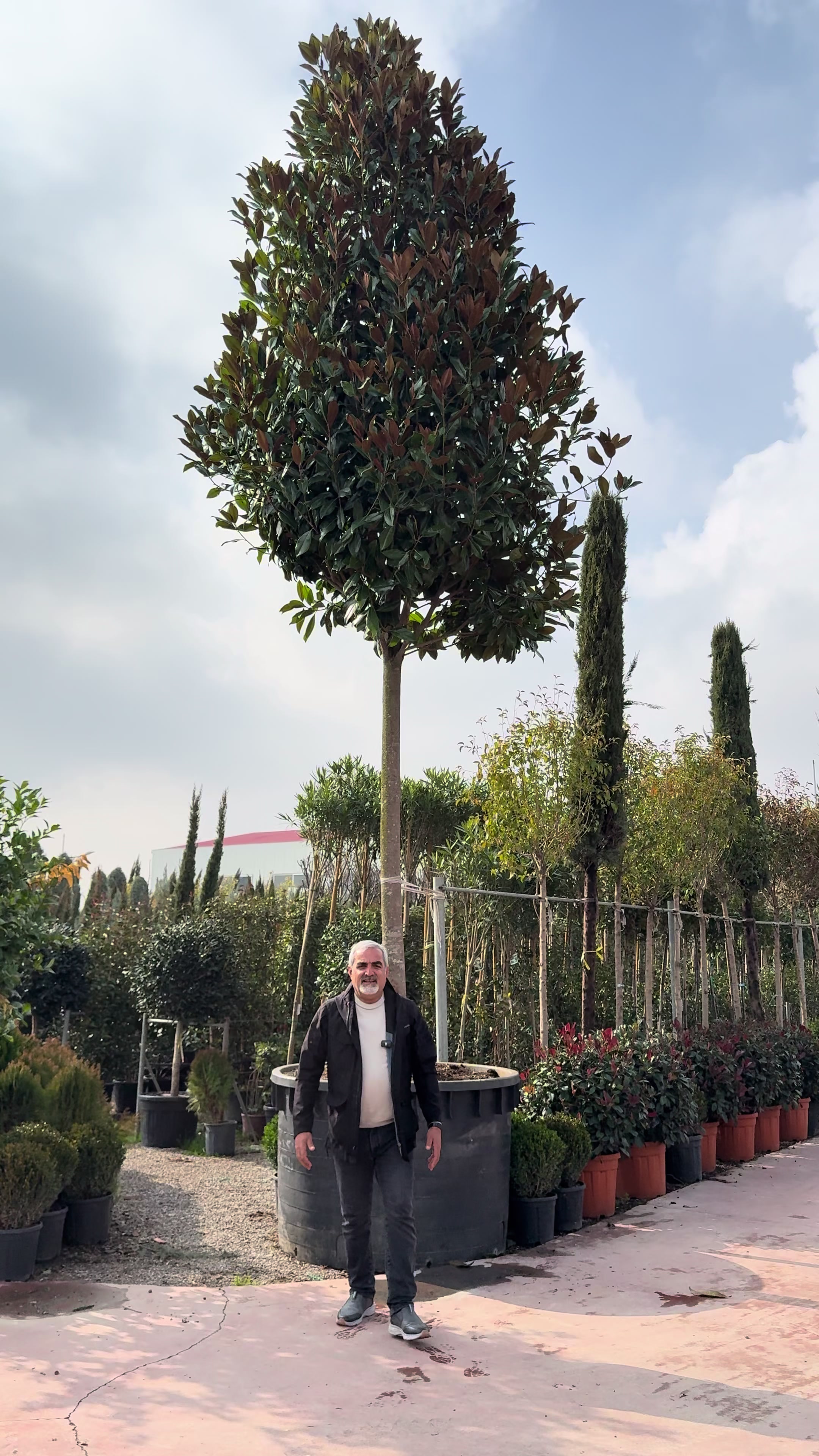 @Heaven flower .Erbil