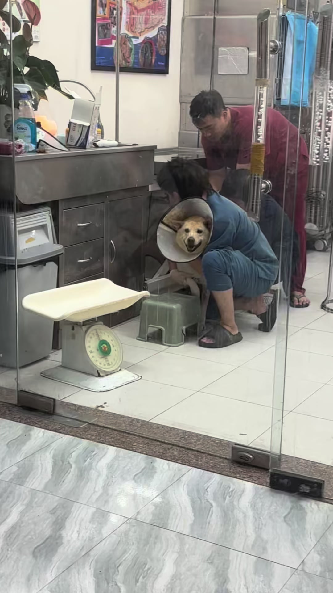 @Linky Hồ