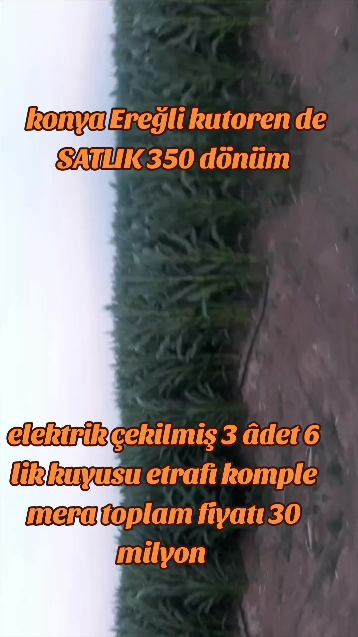 @Hataylı