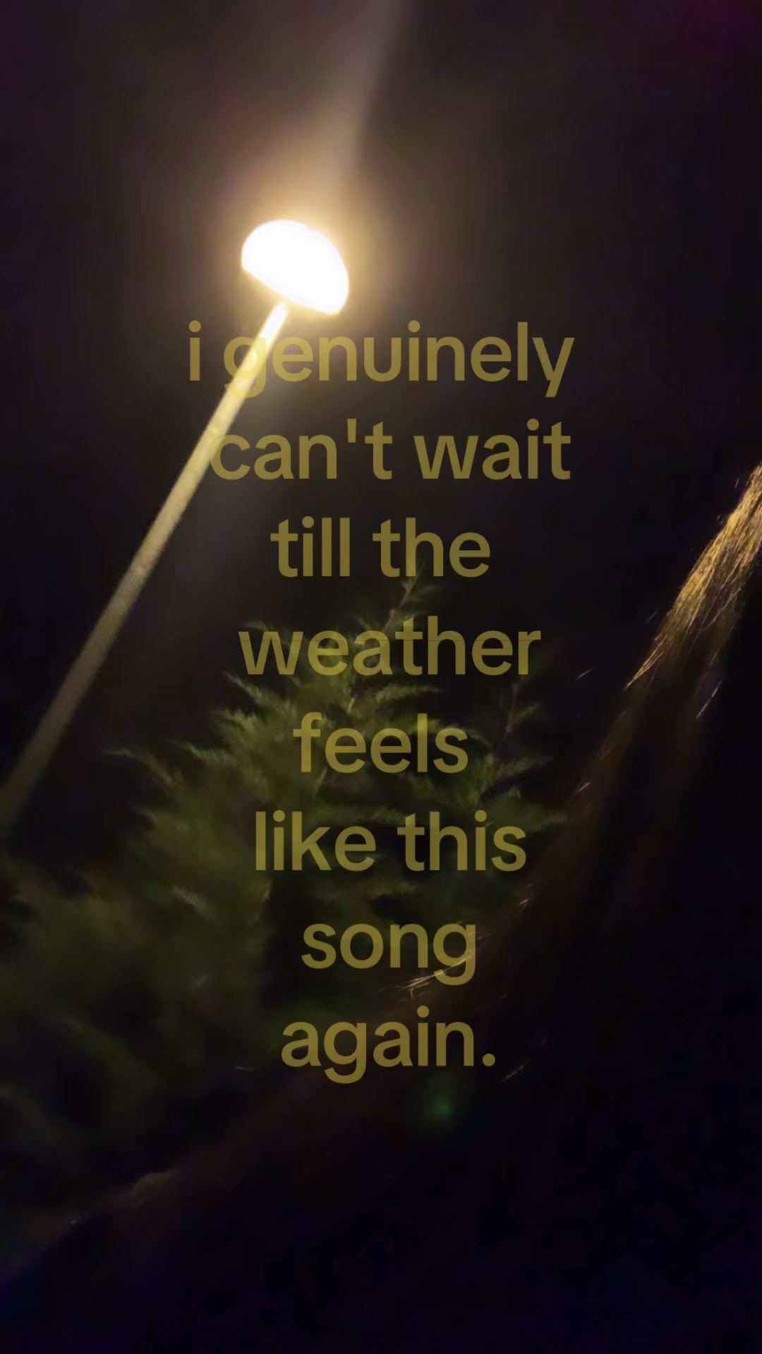 @𑣲𝑛𝑎𝑛𝑎
