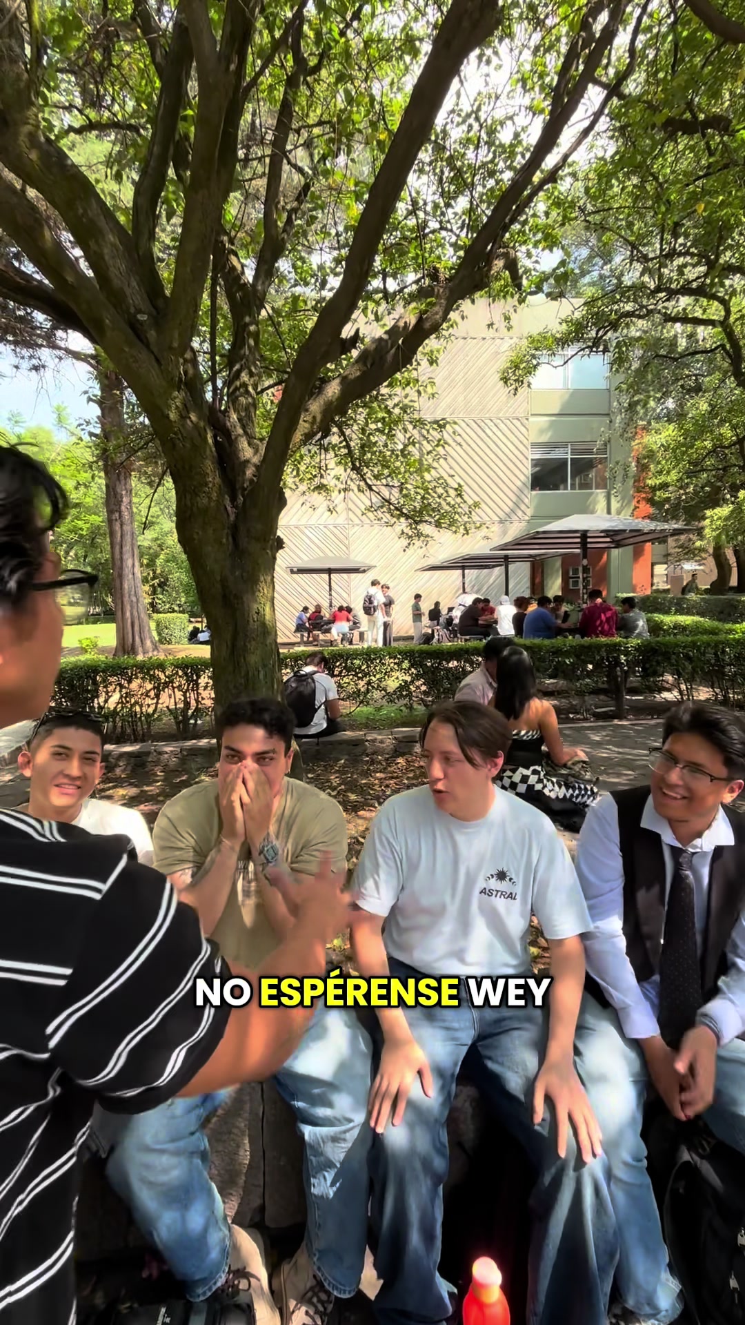 @El consejo
