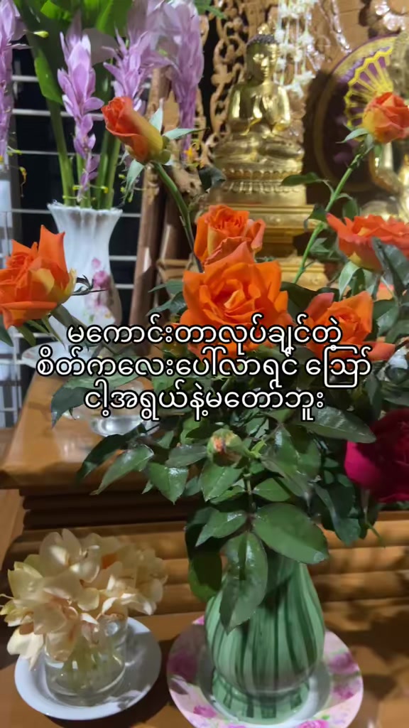 @Htet Htet 4438