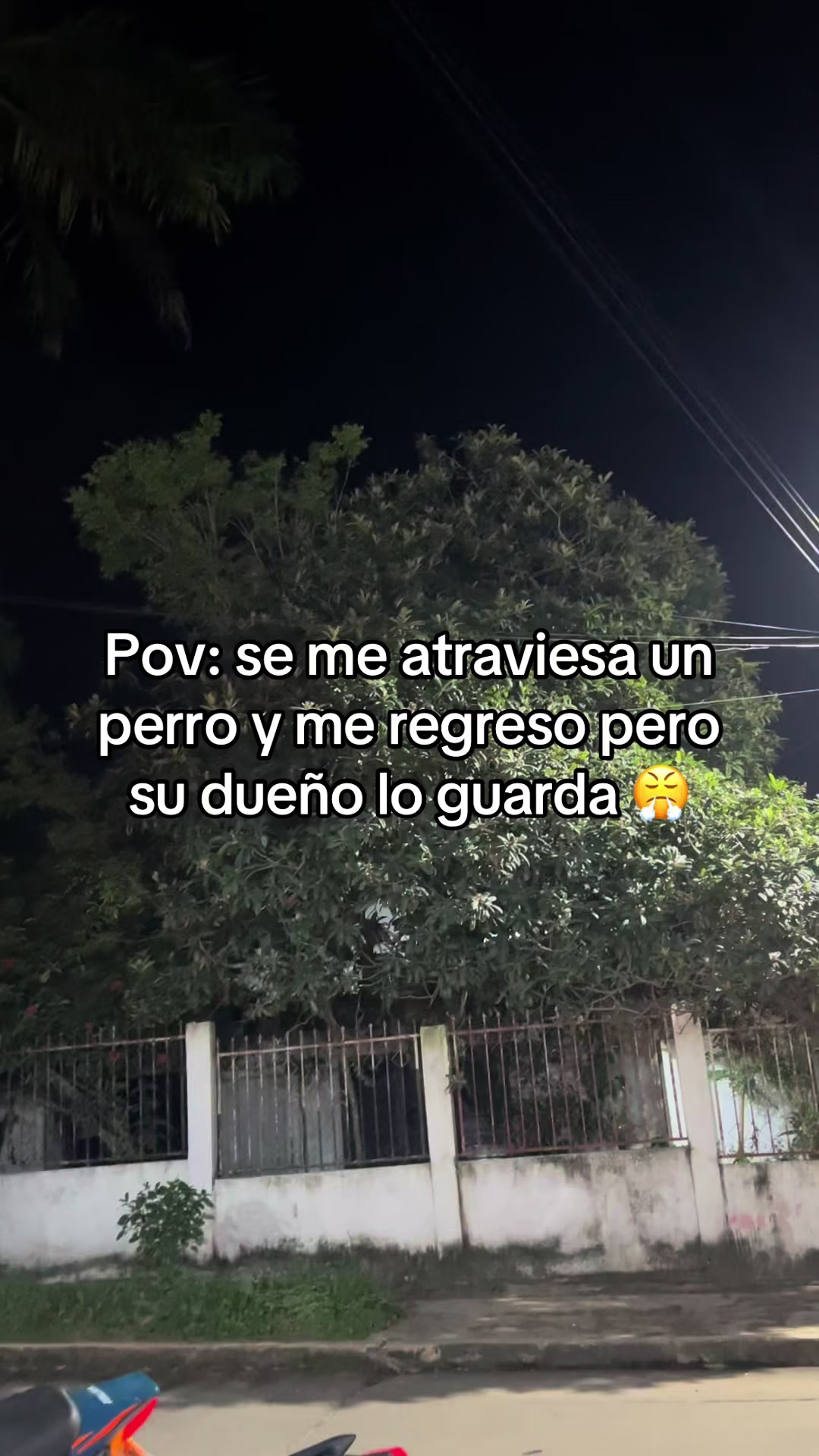 @rodrigo🥷
