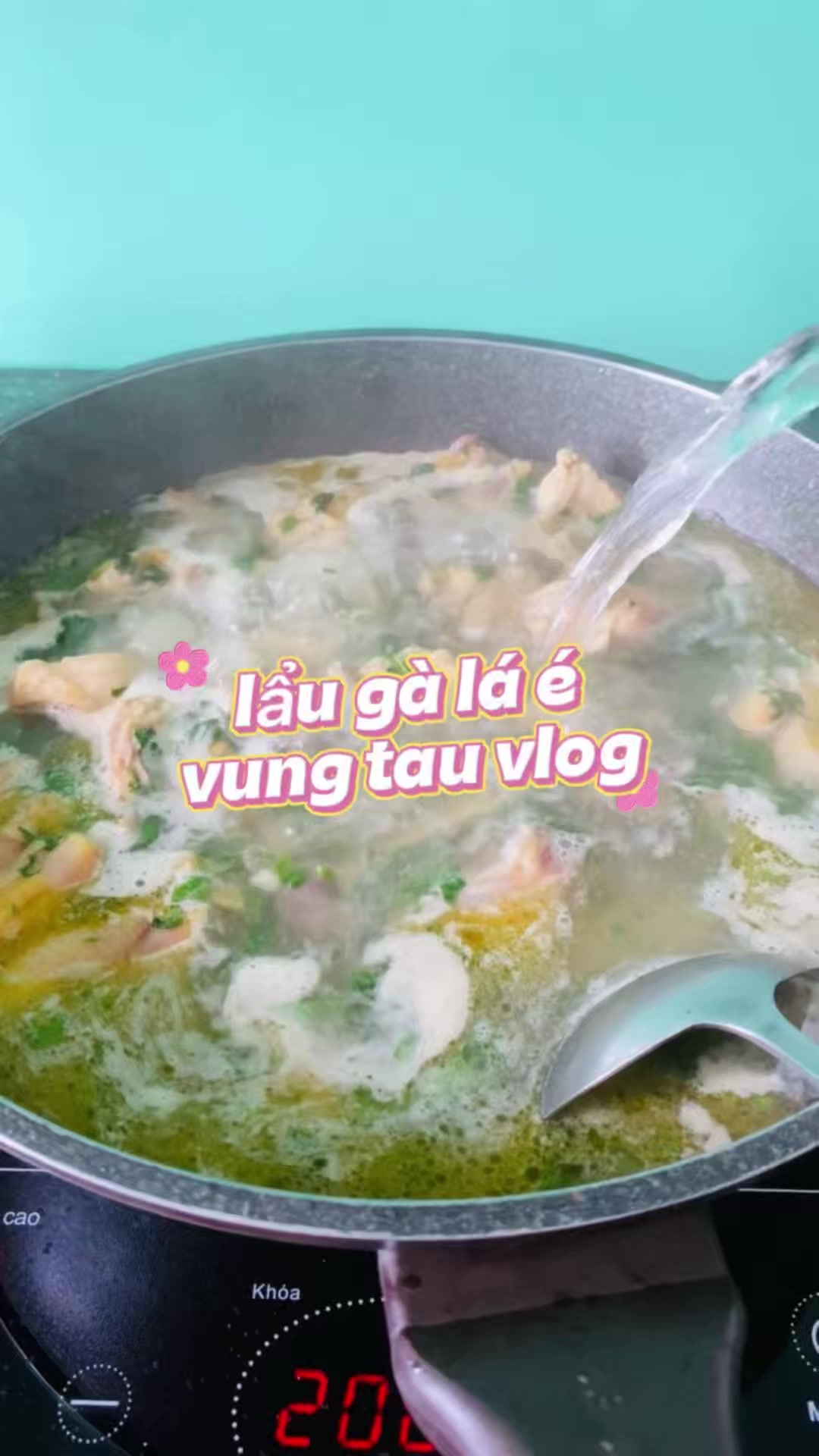 @🥑Bé Bơ Làm Lơ🥑