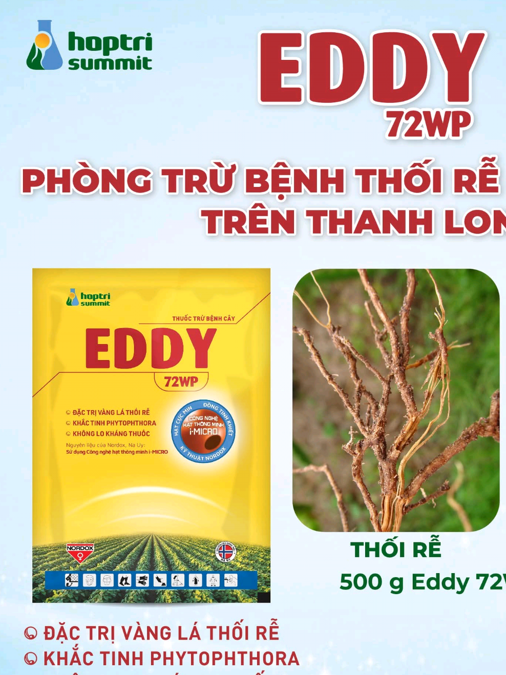 @VTNN Minh Tuấn